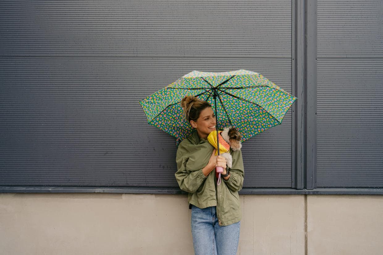GettyImages 1280049962 1280x853 f15b6acb 9f2a 4e92 b894 5e6e838d5f6c2028129